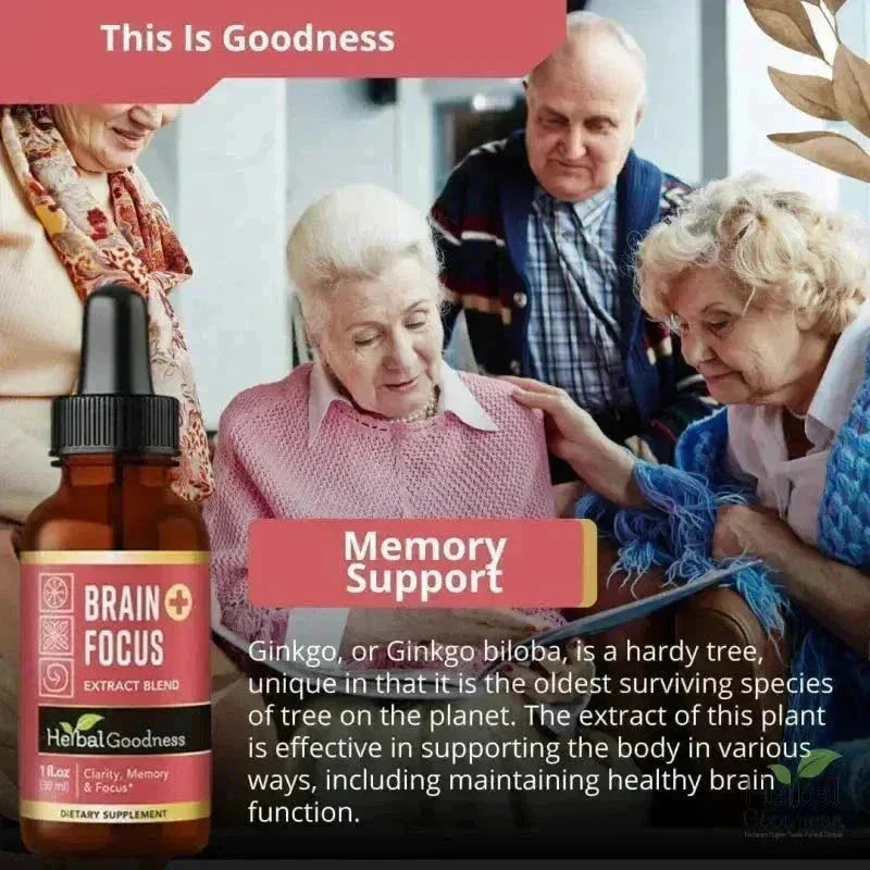 Brain and Focus Liquid Extract - Nootropic Brain Supplement - Herbal Goodness Liquid Extract Herbal Goodness 