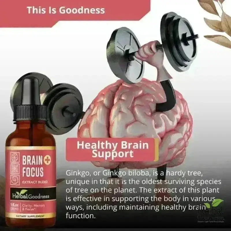 Brain and Focus - Organic 1oz 15X Liquid Extract - Cognition &amp; Memory Liquid Extract Herbal Goodness 