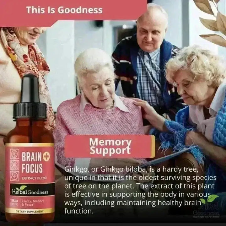 Brain and Focus - Organic 1oz 15X Liquid Extract - Cognition &amp; Memory Liquid Extract Herbal Goodness 