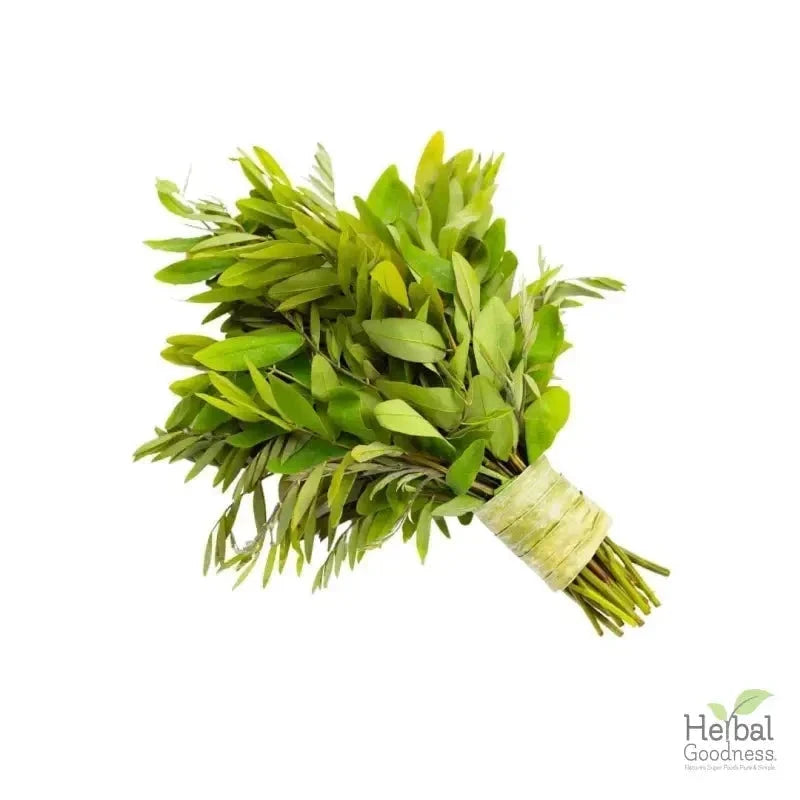 Bulk Herbs & Roots - 4oz Organic bulk teas for digestion, energy, detox Bulk Herb Herbal Goodness Senna Leaf 