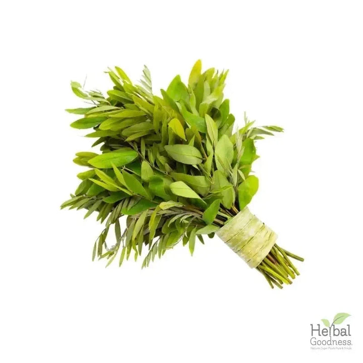 Bulk Herbs & Roots - 4oz Organic bulk teas for digestion, energy, detox Bulk Herb Herbal Goodness Senna Leaf 