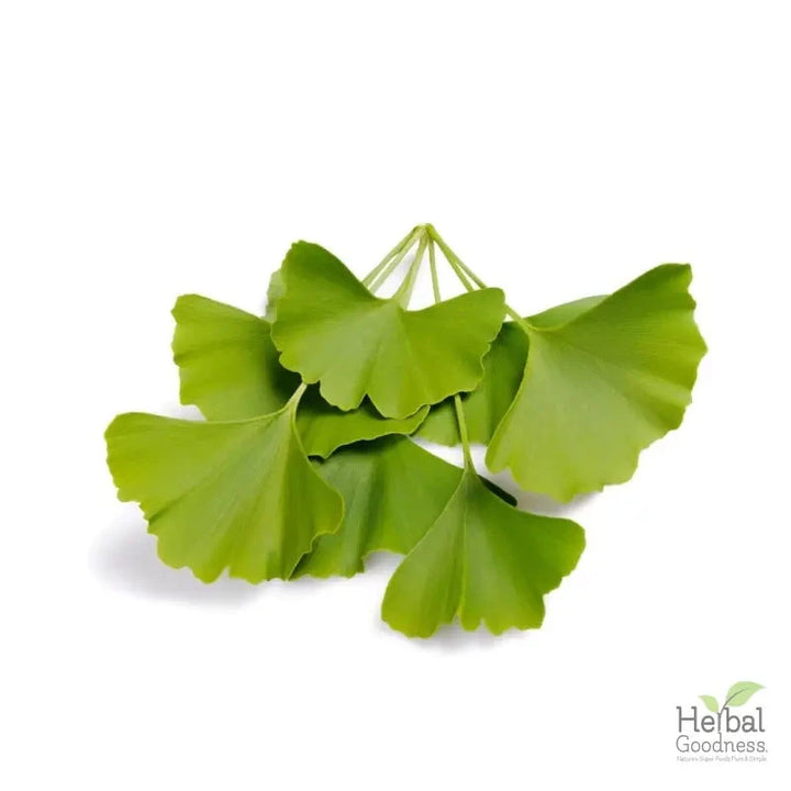Bulk Herbs & Roots - 4oz Organic bulk teas for digestion, energy, detox - Herbal Goodness Bulk Herb Herbal Goodness Ginkgo Biloba 