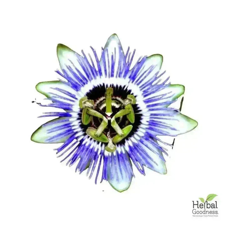 Bulk Herbs & Roots Online for Tea, Tinctures & DIY Wellness - Organic 4oz Bags Bulk Herb Herbal Goodness Passion Flower 