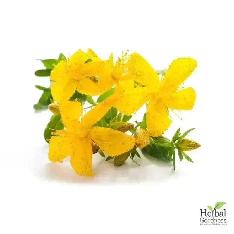 Bulk Herbs & Roots Online for Tea, Tinctures & DIY Wellness - Organic 4oz Bags Bulk Herb Herbal Goodness 