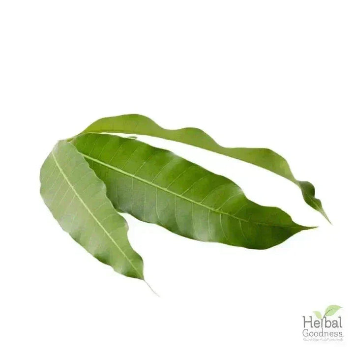 Bulk Herbs & Roots - Organic 4oz Bags - Herbal Tea Bulk Herb Herbal Goodness Mango Leaf 