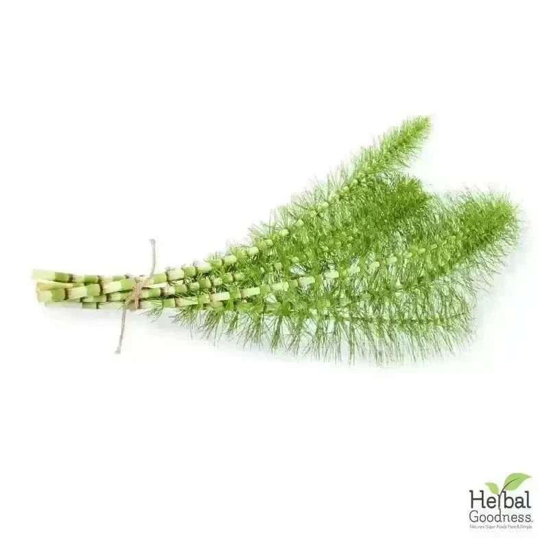 Bulk Herbs & Roots Online for Tea, Tinctures & DIY Wellness - Organic 4oz Bags Bulk Herb Herbal Goodness 