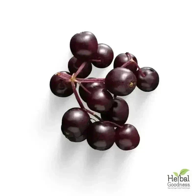 Bulk Herbs & Roots Online for Tea, Tinctures & DIY Wellness - Organic 4oz Bags Bulk Herb Herbal Goodness 