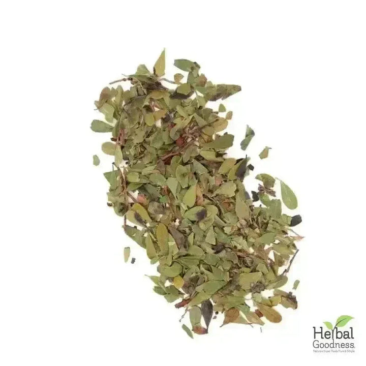 Bulk Herbs & Roots Online for Tea, Tinctures & DIY Wellness - Organic 4oz Bags Bulk Herb Herbal Goodness Olive Leaf 