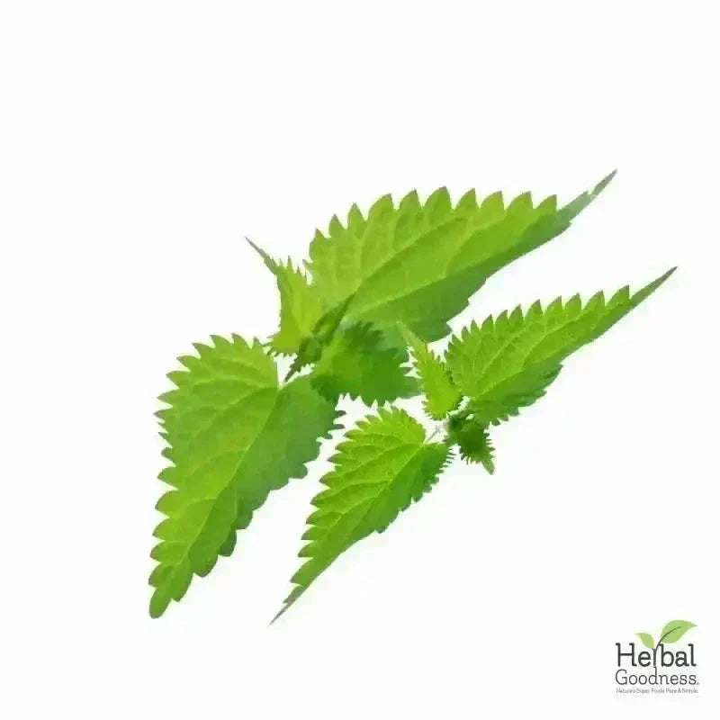 Bulk Herbs & Roots Online for Tea, Tinctures & DIY Wellness - Organic 4oz Bags Bulk Herb Herbal Goodness 