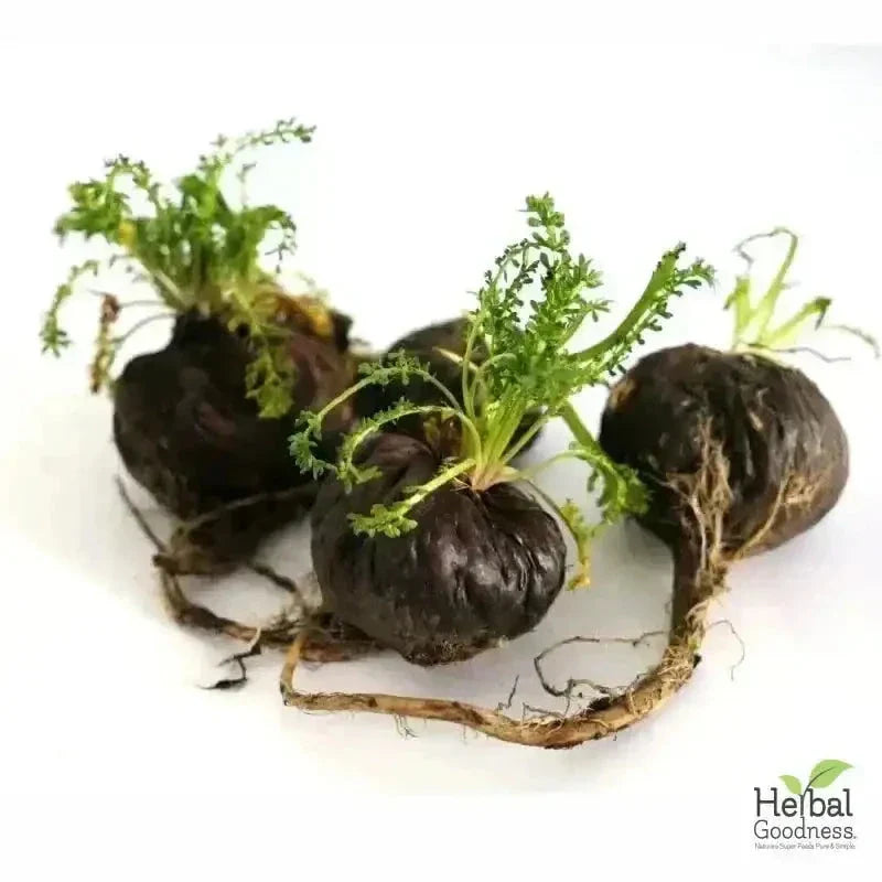 Bulk Herbs & Roots Online for Tea, Tinctures & DIY Wellness - Organic 4oz Bags Bulk Herb Herbal Goodness 