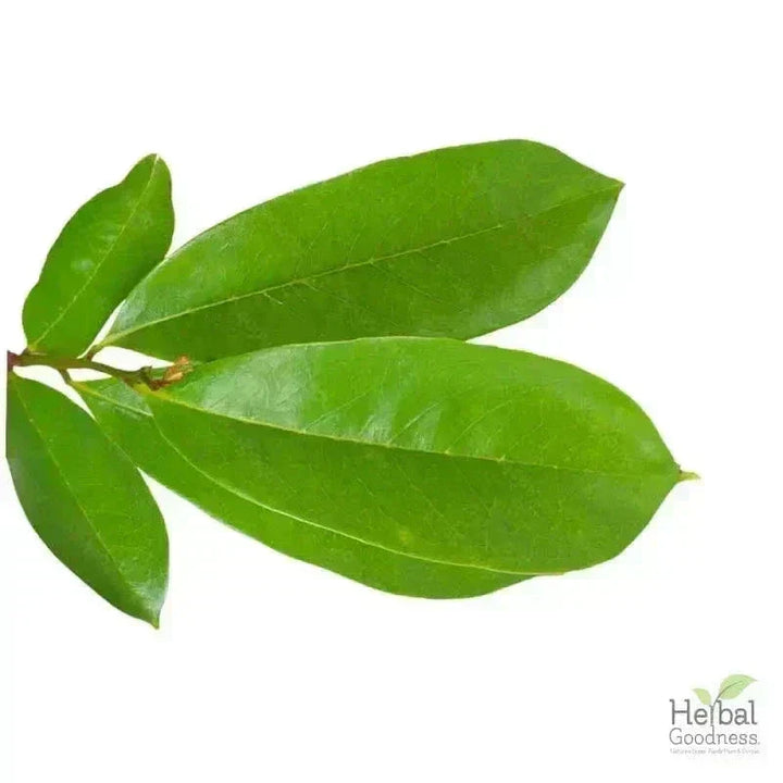 Bulk Herbs & Roots - Organic 4oz Bags - Herbal Tea Bulk Herb Herbal Goodness Elder Flower 