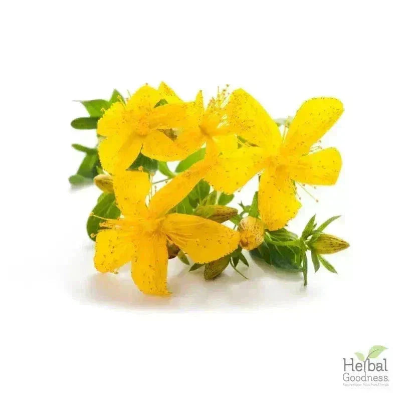 Bulk Herbs & Roots - Organic 4oz Bags - Herbal Tea Bulk Herb Herbal Goodness Chamomile Flower 