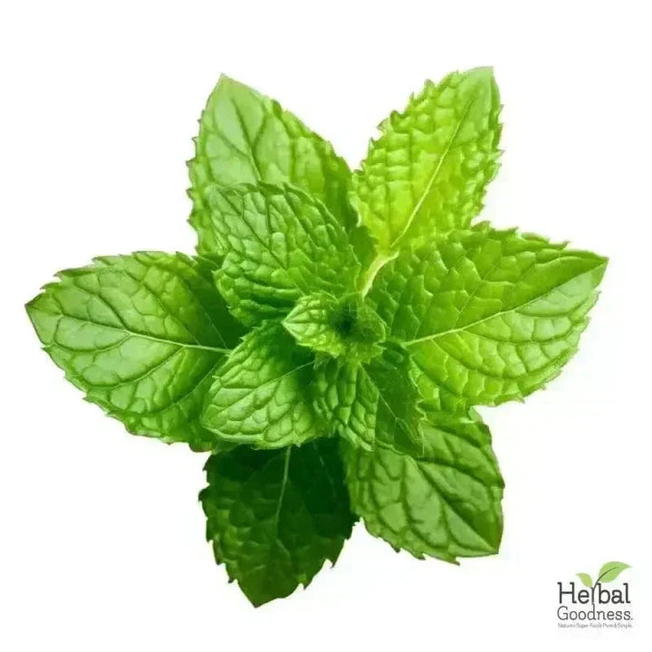 Bulk Herbs & Roots Online for Tea, Tinctures & DIY Wellness - Organic 4oz Bags Bulk Herb Herbal Goodness 