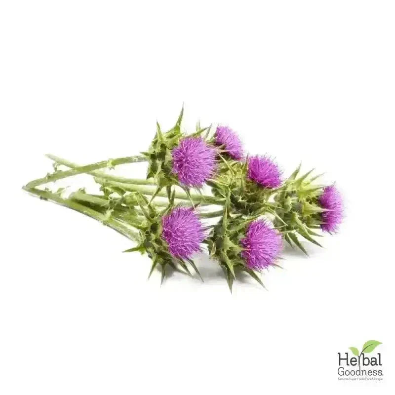 Bulk Herbs & Roots Online for Tea, Tinctures & DIY Wellness - Organic 4oz Bags Bulk Herb Herbal Goodness 