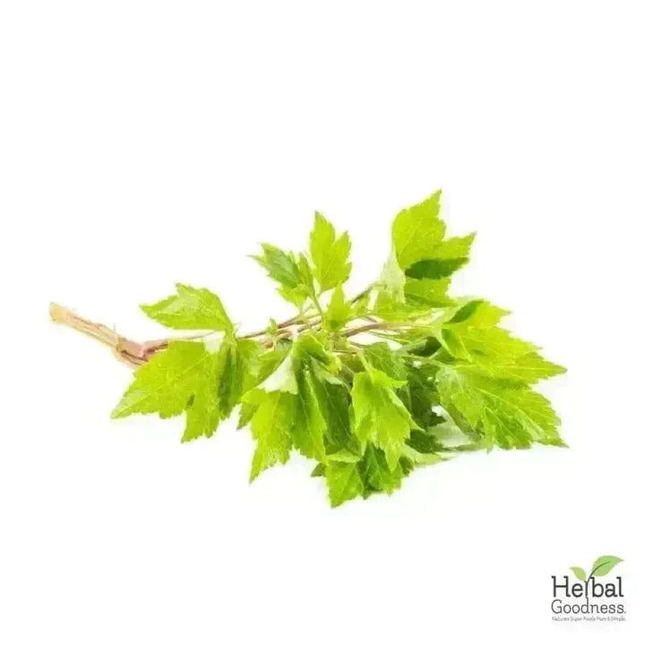 Bulk Herbs & Roots Online for Tea, Tinctures & DIY Wellness - Organic 4oz Bags Bulk Herb Herbal Goodness Mugwort Leaf 