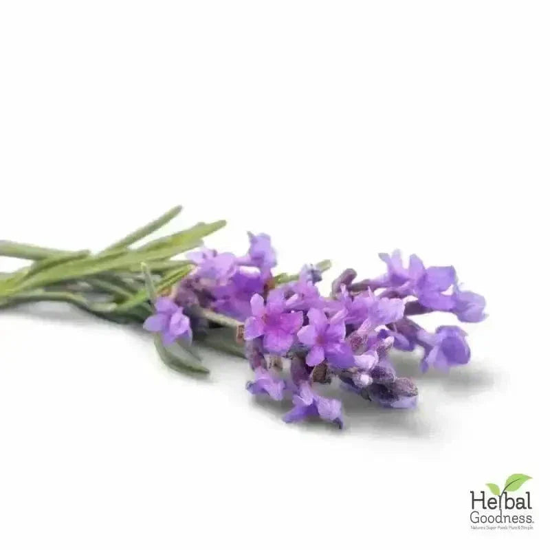 Bulk Herbs & Roots Online for Tea, Tinctures & DIY Wellness - Organic 4oz Bags Bulk Herb Herbal Goodness Lavender Flower 