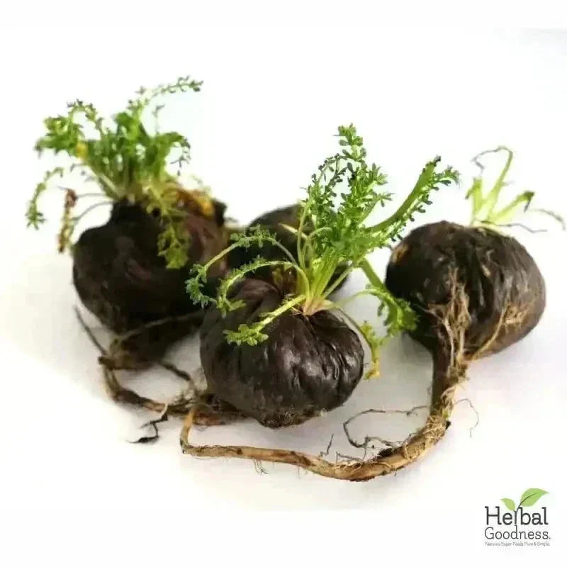 Bulk Herbs & Roots Online for Tea, Tinctures & DIY Wellness - Organic 4oz Bags Bulk Herb Herbal Goodness 