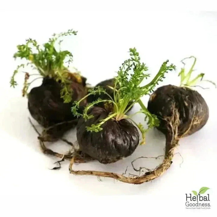 Bulk Herbs & Roots Online for Tea, Tinctures & DIY Wellness - Organic 4oz Bags Bulk Herb Herbal Goodness 