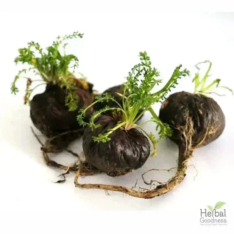 Bulk Herbs & Roots - Organic 4oz Bags - Herbal Tea Bulk Herb Herbal Goodness Maca (black & red) Root 