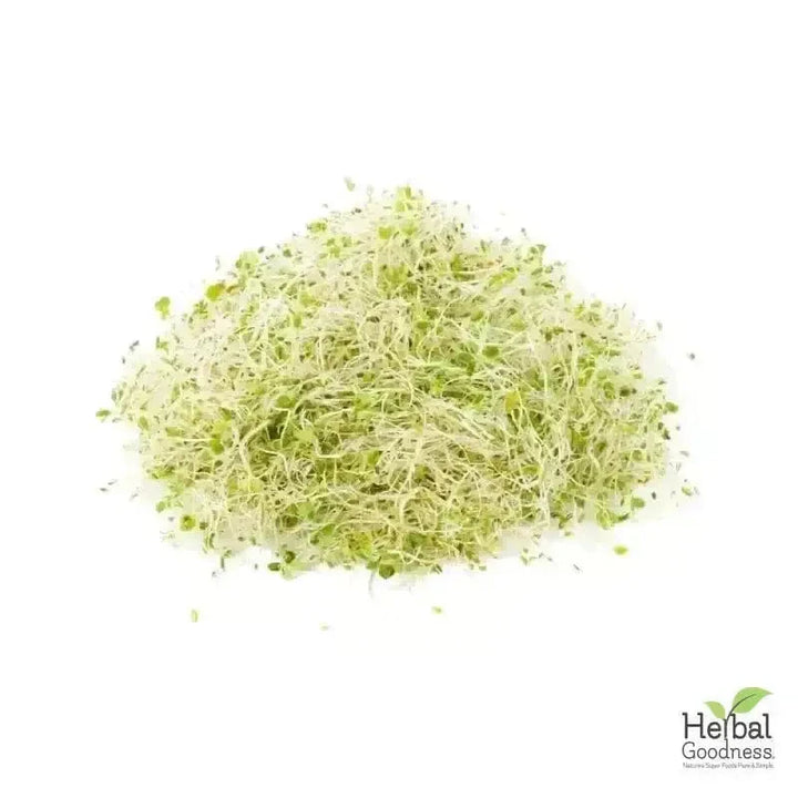 Bulk Herbs & Roots Online for Tea, Tinctures & DIY Wellness - Organic 4oz Bags Bulk Herb Herbal Goodness 