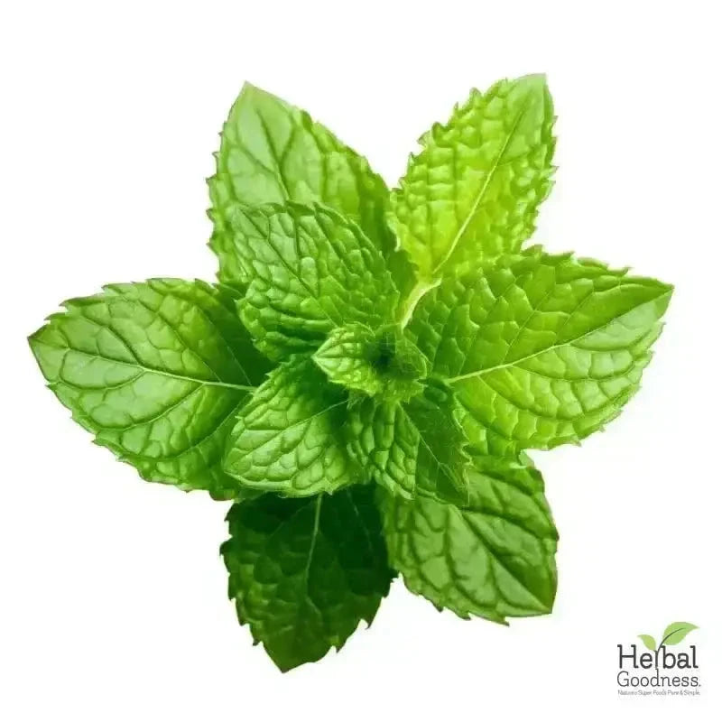 Bulk Herbs & Roots Online for Tea, Tinctures & DIY Wellness - Organic 4oz Bags Bulk Herb Herbal Goodness 