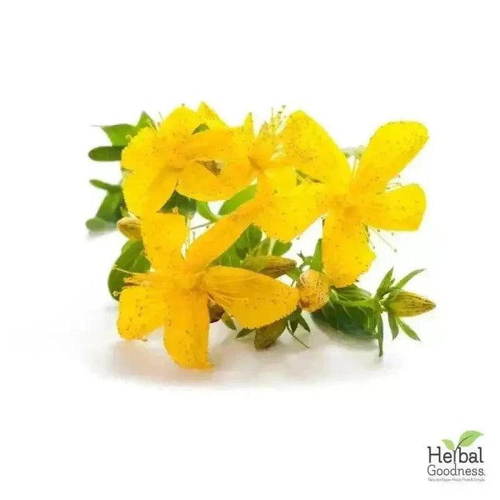 Bulk Herbs & Roots Online for Tea, Tinctures & DIY Wellness - Organic 4oz Bags Bulk Herb Herbal Goodness Chamomile Flower 