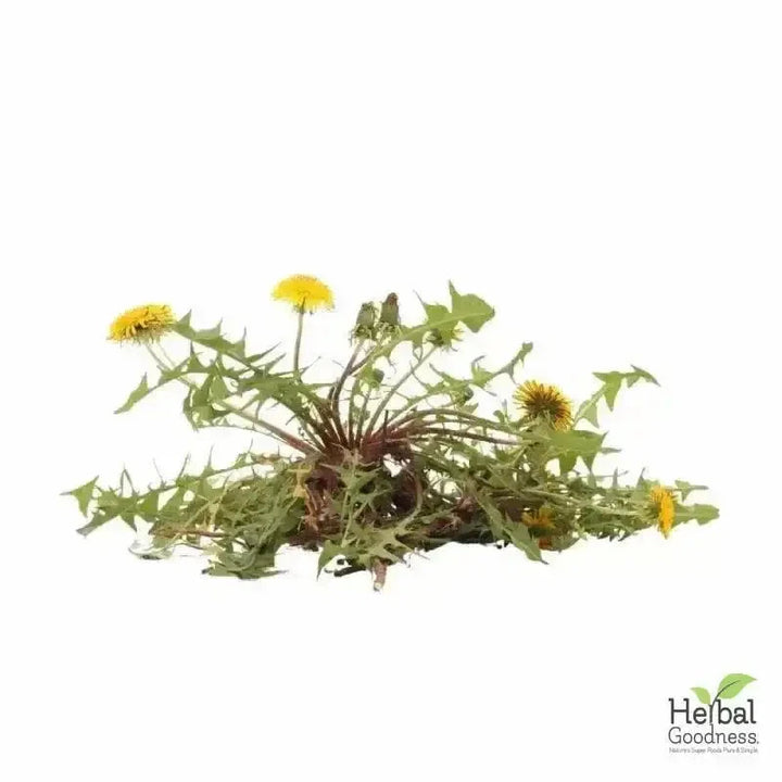 Bulk Herbs & Roots Online for Tea, Tinctures & DIY Wellness - Organic 4oz Bags Bulk Herb Herbal Goodness Dandelion Root 