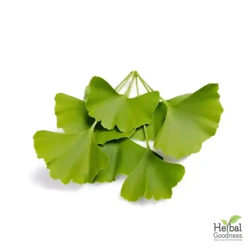 Bulk Herbs & Roots Online for Tea, Tinctures & DIY Wellness - Organic 4oz Bags Bulk Herb Herbal Goodness Ginkgo Biloba 