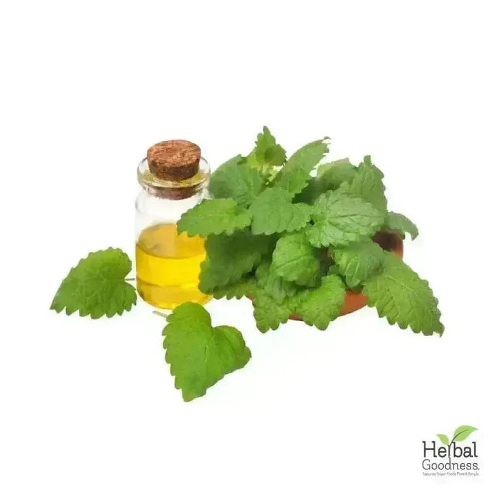 Bulk Herbs & Roots Online for Tea, Tinctures & DIY Wellness - Organic 4oz Bags Bulk Herb Herbal Goodness Lemon Balm 