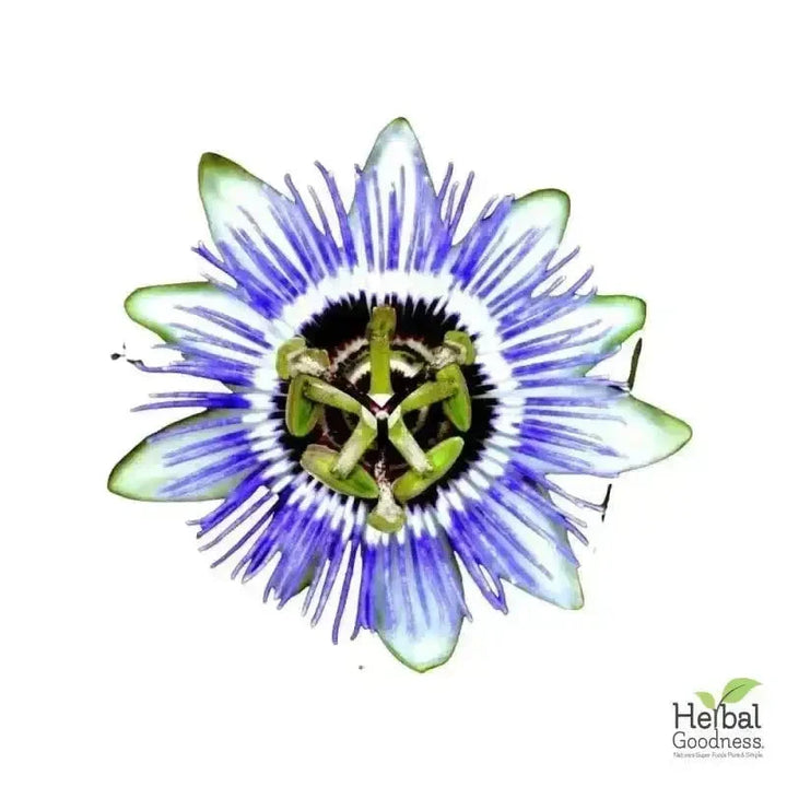 Bulk Herbs & Roots Online for Tea, Tinctures & DIY Wellness - Organic 4oz Bags Bulk Herb Herbal Goodness Passion Flower 