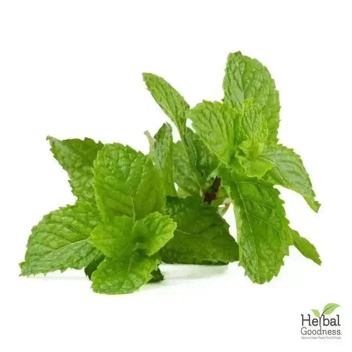 Bulk Herbs & Roots Online for Tea, Tinctures & DIY Wellness - Organic 4oz Bags Bulk Herb Herbal Goodness Peppermint 