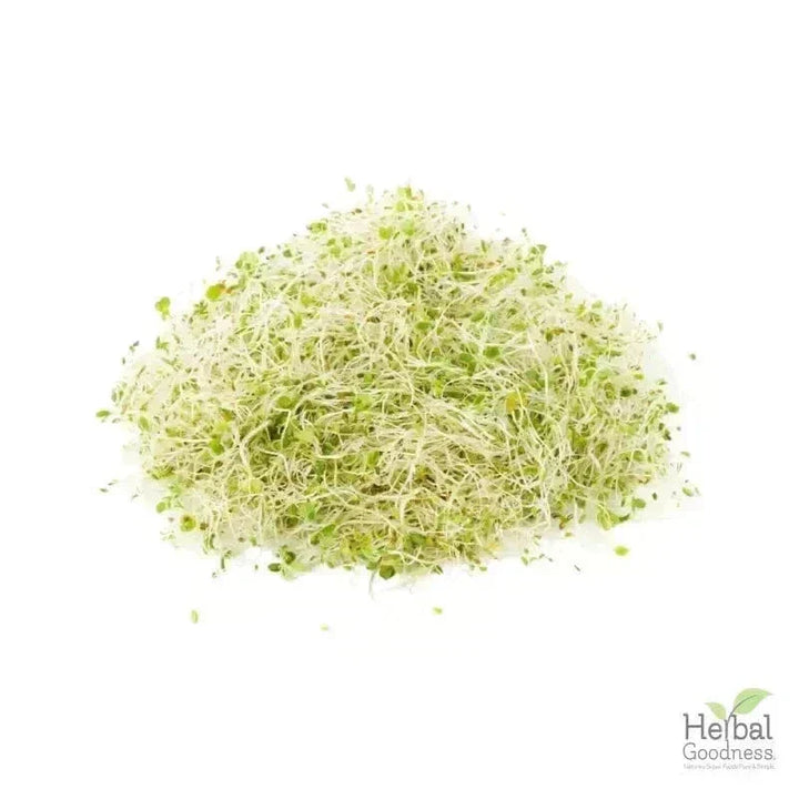 Bulk Herbs & Roots - Organic 4oz Bags - Herbal Tea Bulk Herb Herbal Goodness Alfalfa Leaf 