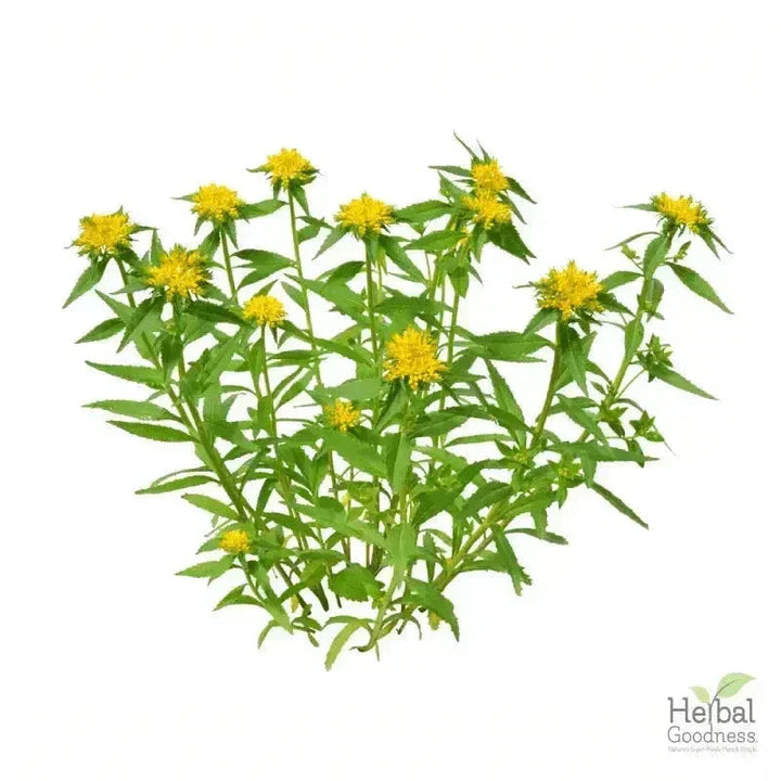 Bulk Herbs & Roots - Organic 4oz Bags - Herbal Tea Bulk Herb Herbal Goodness 