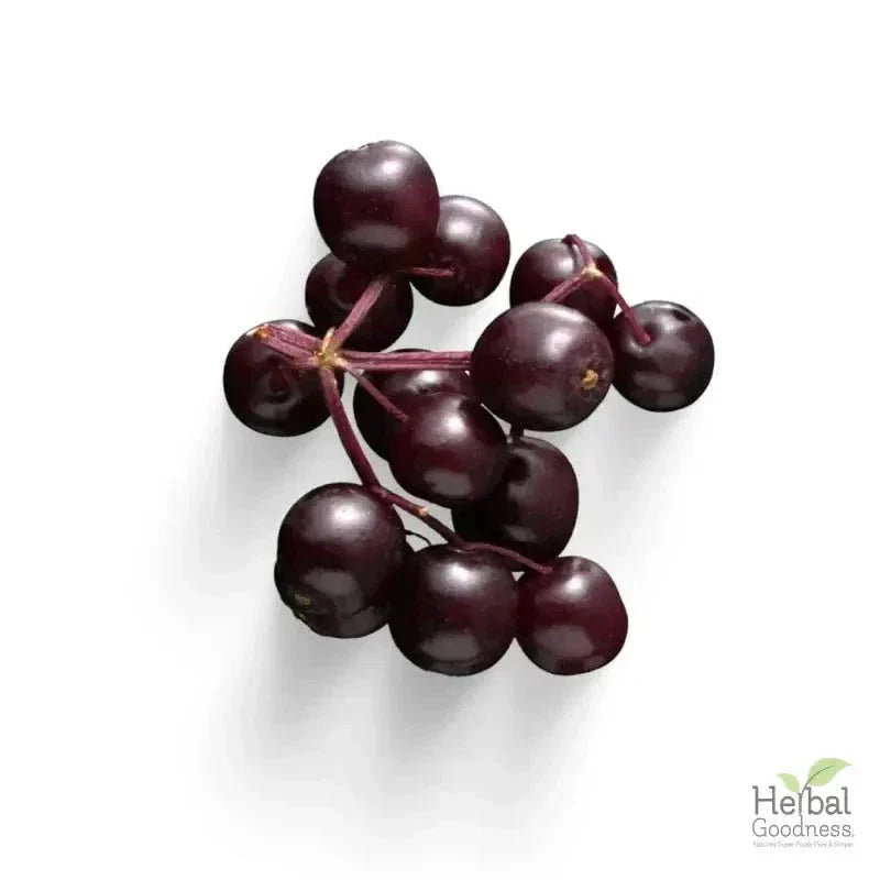 Bulk Herbs & Roots - 4oz Organic bulk teas for digestion, energy, detox Bulk Herb Herbal Goodness 