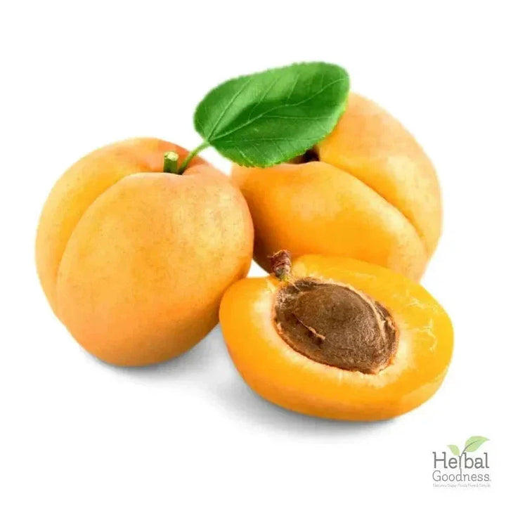 Bulk Seeds 4oz - Rich in Natural Omega 3, 6 & 9 - Herbal Goodness Bulk Herb Herbal Goodness Apricot Kernel Seed 4oz 