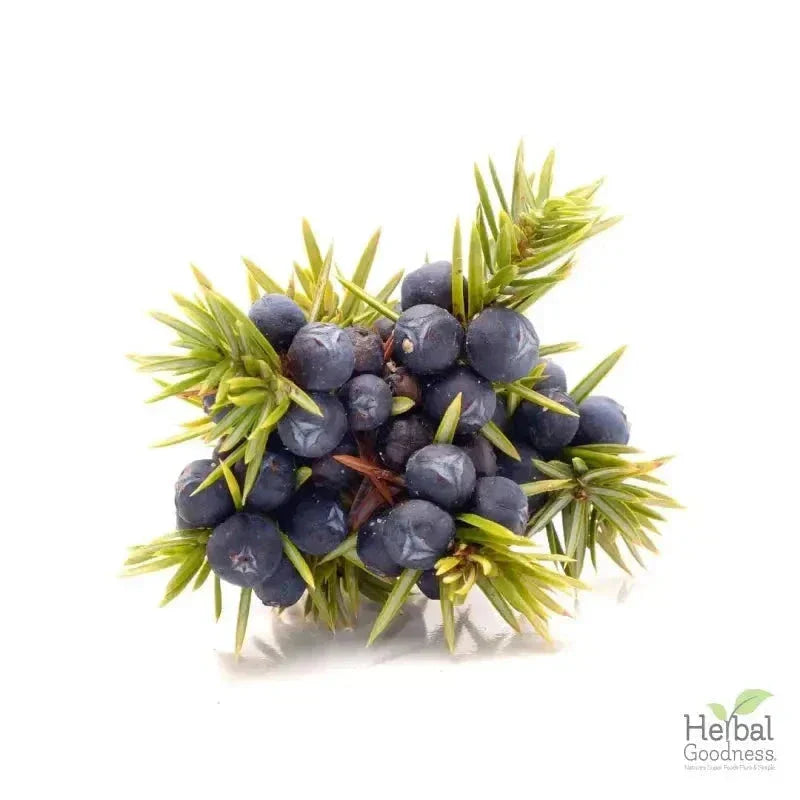 Bulk Seeds 4oz - Rich in Natural Omega 3, 6 & 9 - Herbal Goodness Bulk Herb Herbal Goodness 