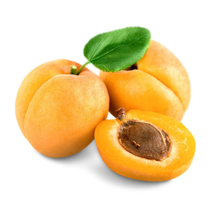 Bulk Seeds - Herbal Herbal Goodness Apricot Kernel & Seed 8oz 
