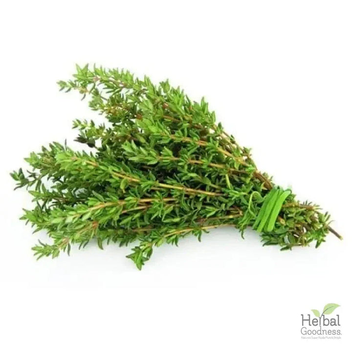 Bulk Spices & Seasonings 4oz | Fresh Vibrant Aromatic Flavor – Herbal Goodness Bulk Herb Herbal Goodness Thyme 