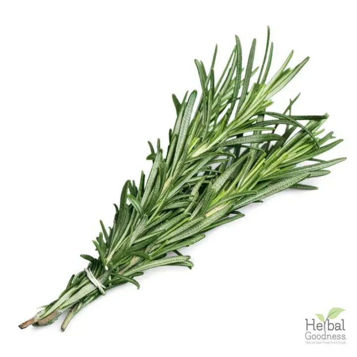 Bulk Spices & Seasonings 4oz | Fresh Vibrant Aromatic Flavor – Herbal Goodness Bulk Herb Herbal Goodness Rosemary 