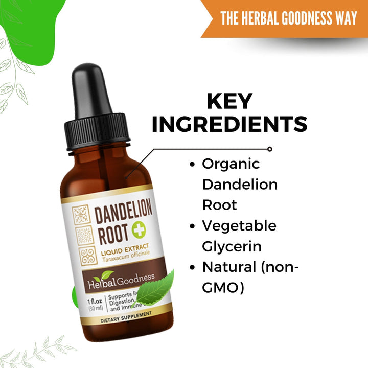 Dandelion Root Liquid Extract - Supports Digestion - Herbal Goodness Buy Liquid Extract