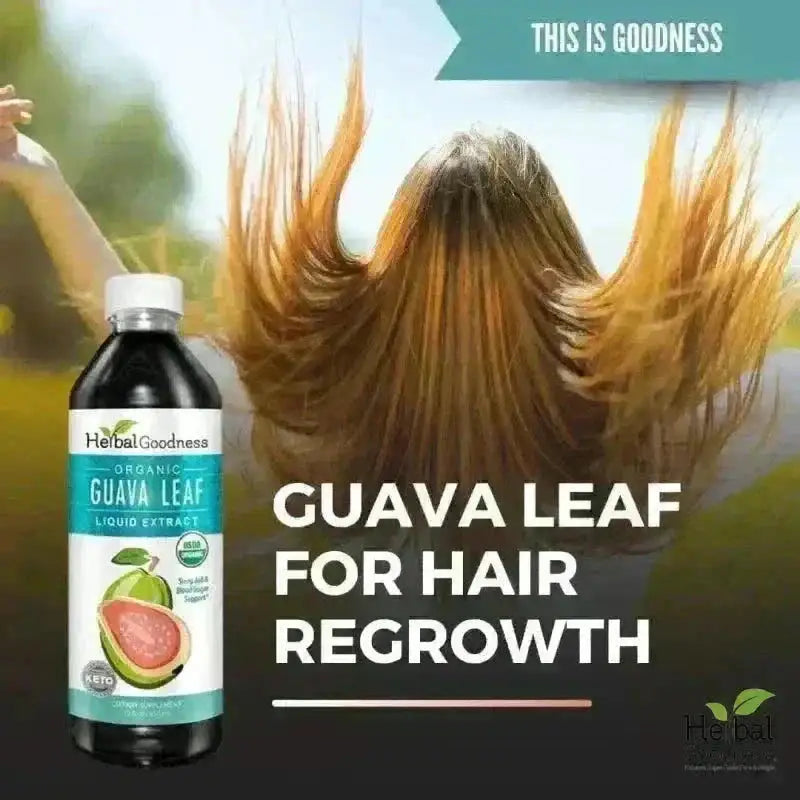 Guava Leaf - Organic 1oz 15X Liquid Extract - Immunity &amp; Herbal Health Liquid Extract Herbal Goodness 