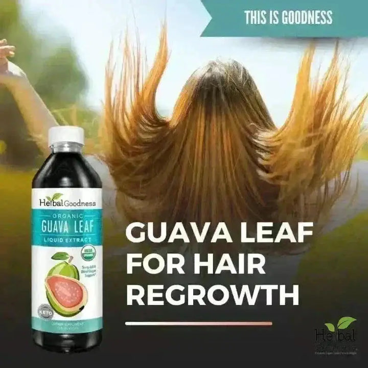 Guava Leaf - Organic 1oz 15X Liquid Extract - Immunity &amp; Herbal Health Liquid Extract Herbal Goodness 