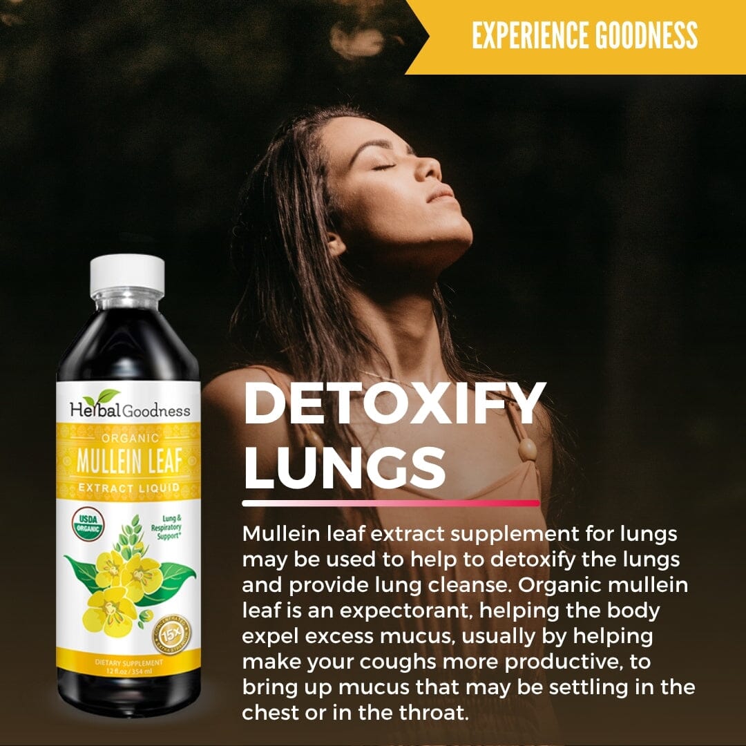Mullein Leaf Extract Liquid - Organic - 15X Strength - Herbal Goodness Liquid Extract Herbal Goodness 