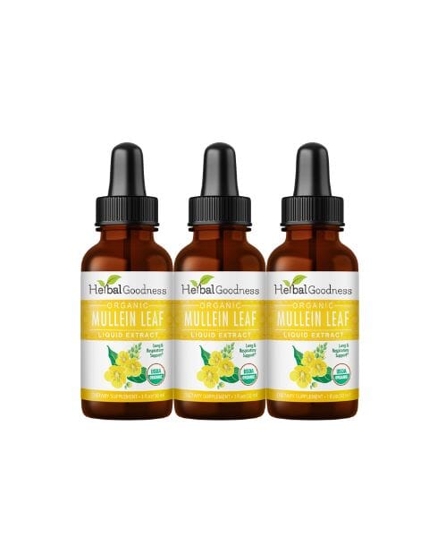 Mullein Leaf - Organic 15X Liquid Extract - Respiratory & Lung Health Liquid Extract Herbal Goodness 1oz - 3 Bottles 