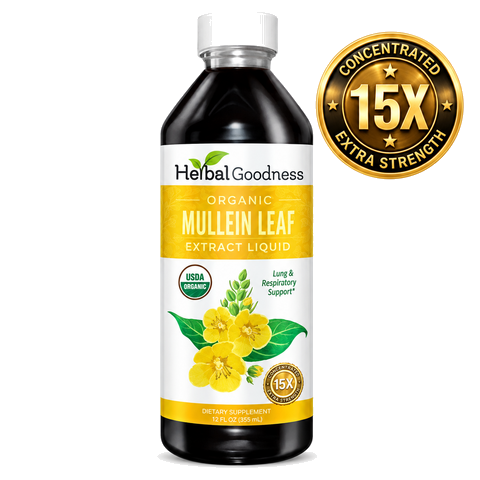 Herbal goodness organic 15x strength mullein leaf extract liquid in dark glass bottle with white cap for respiratory health