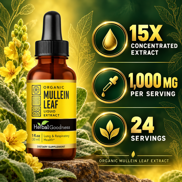 HG Mullein Leaf potency