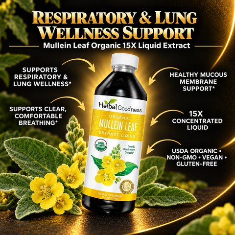 A sleek black bottle of healthgoodness mullein leaf extract liquid with a yellow label for respiratory health organic 15x strength