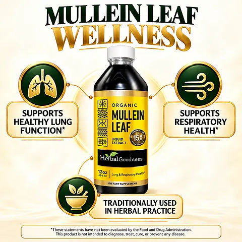 HG Mullein Liquid benefits