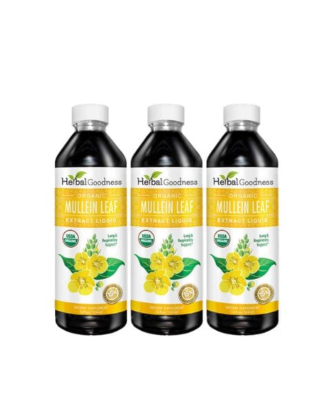 Mullein Leaf - Organic 15X Liquid Extract - Respiratory & Lung Health Liquid Extract Herbal Goodness 12oz - 3 Bottles 