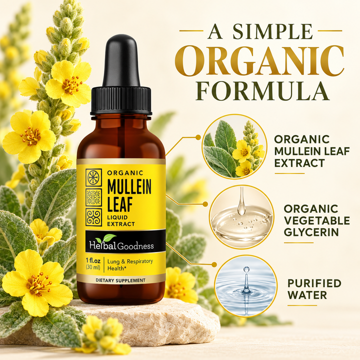 HG Mullein Leaf formula